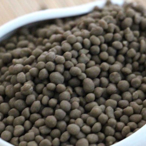 DAP Fertilizer